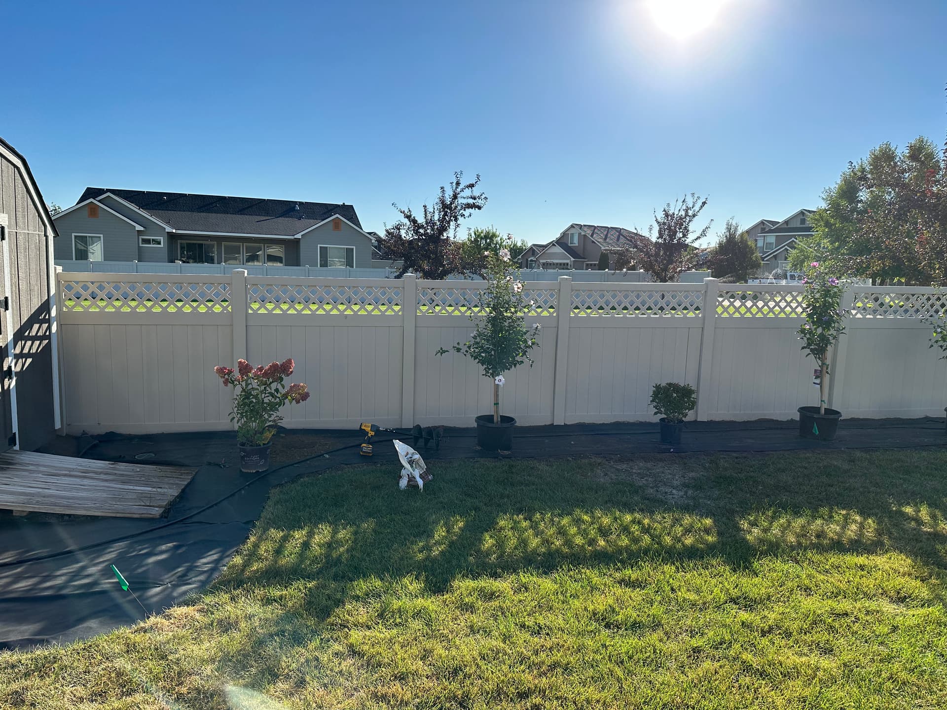 Lush Backyard Makeover with Brother Bear Lawn Care