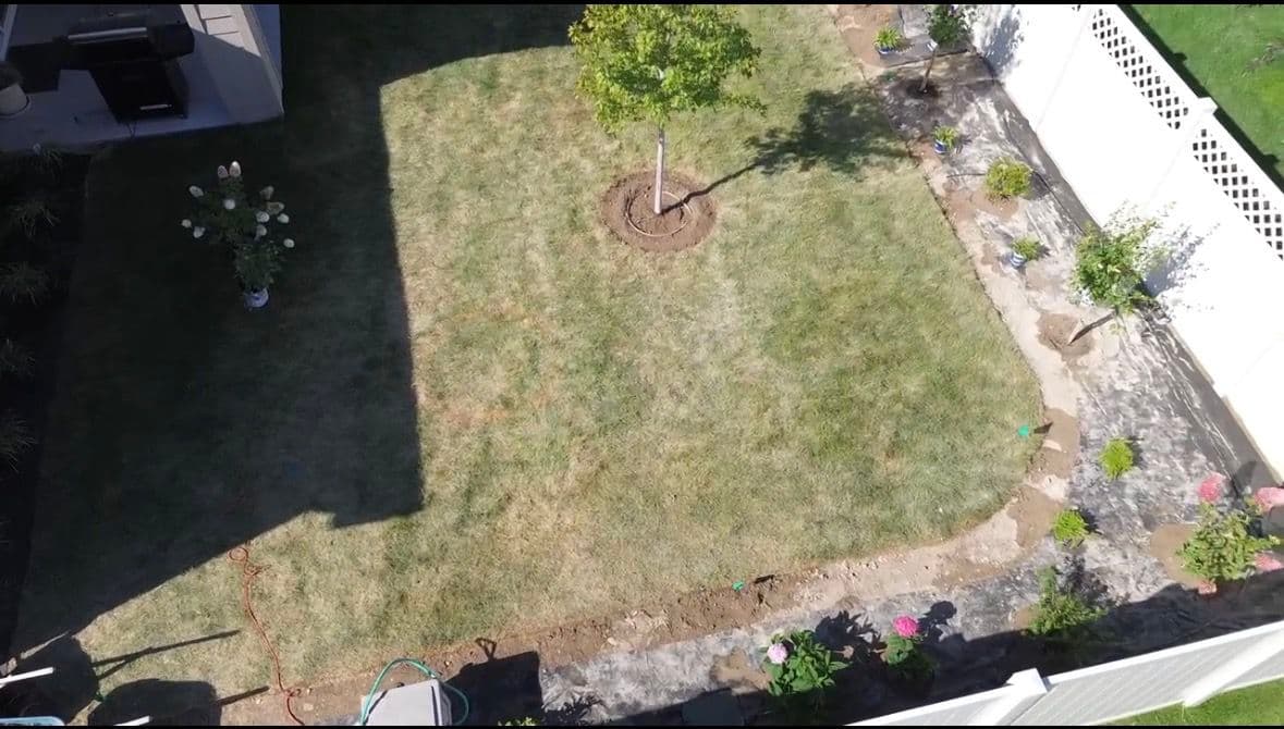 Gallery photos for Lush Backyard Makeover with Brother Bear Lawn Care: Image #6