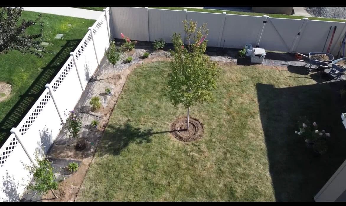 Gallery photos for Lush Backyard Makeover with Brother Bear Lawn Care: Image #5