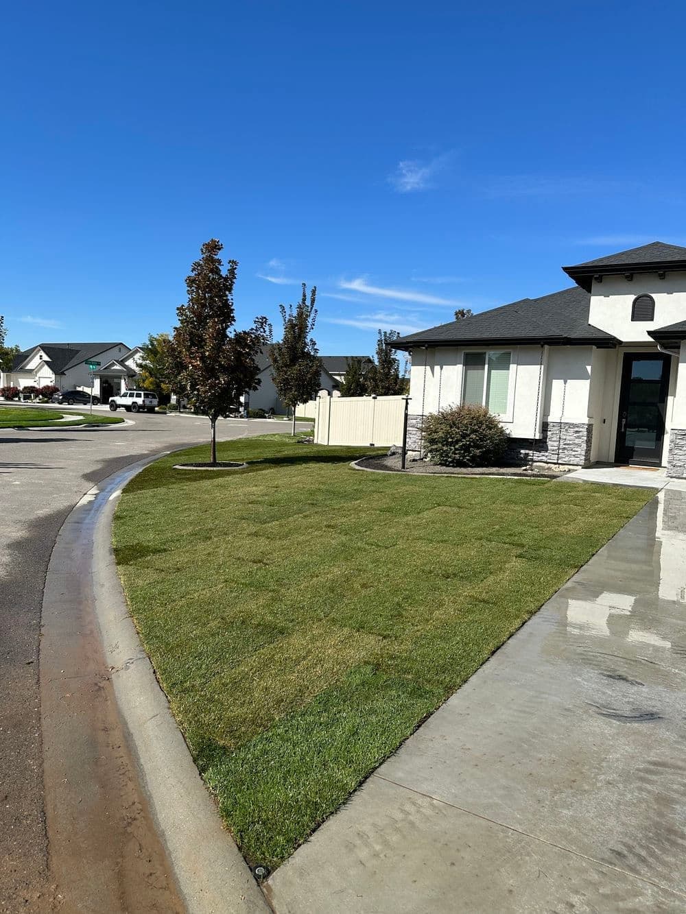 Expert Lawn Transformation in Nampa ID
